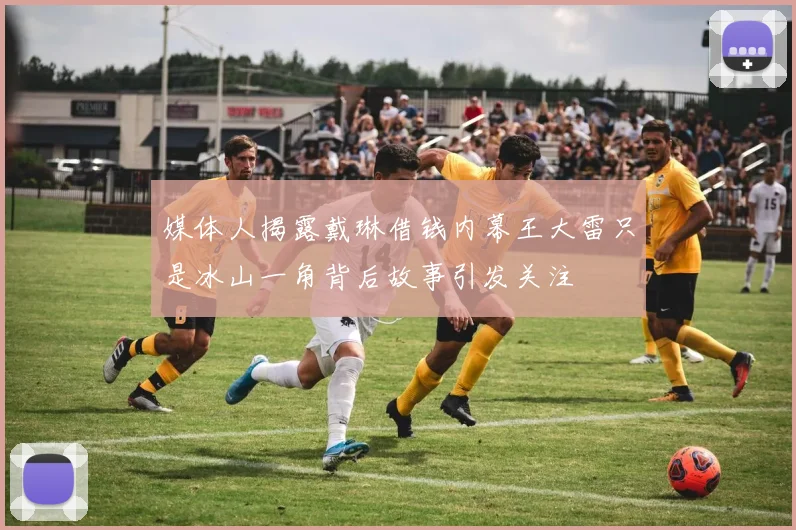 媒体人揭露戴琳借钱内幕王大雷只是冰山一角背后故事引发关注