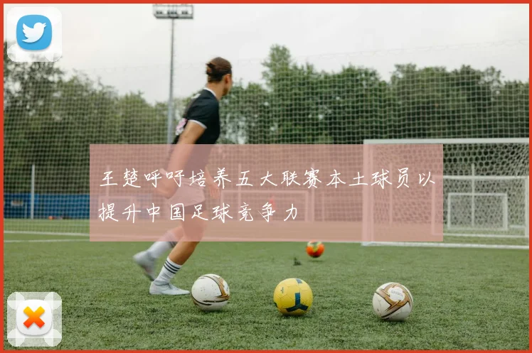 王楚呼吁培养五大联赛本土球员以提升中国足球竞争力