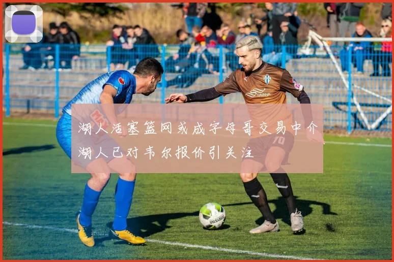 湖人活塞篮网或成字母哥交易中介湖人已对韦尔报价引关注